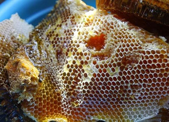  sáp ong nguyên tổ