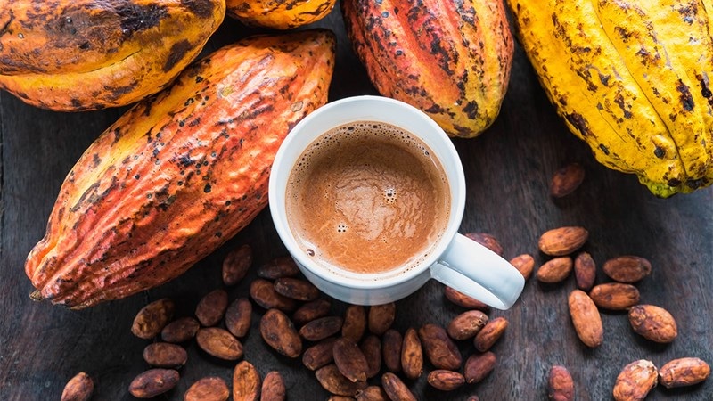 hạt cacao rang khô
