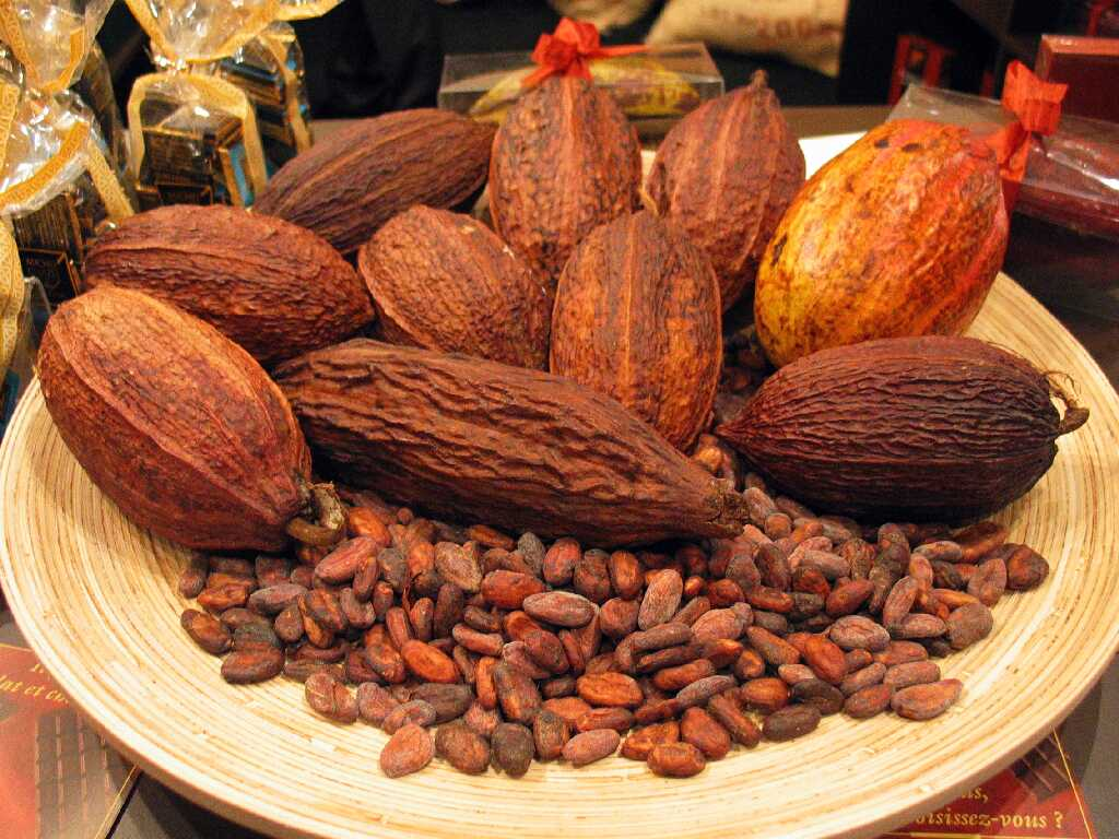 hạt cacao rang khô thơm ngon
