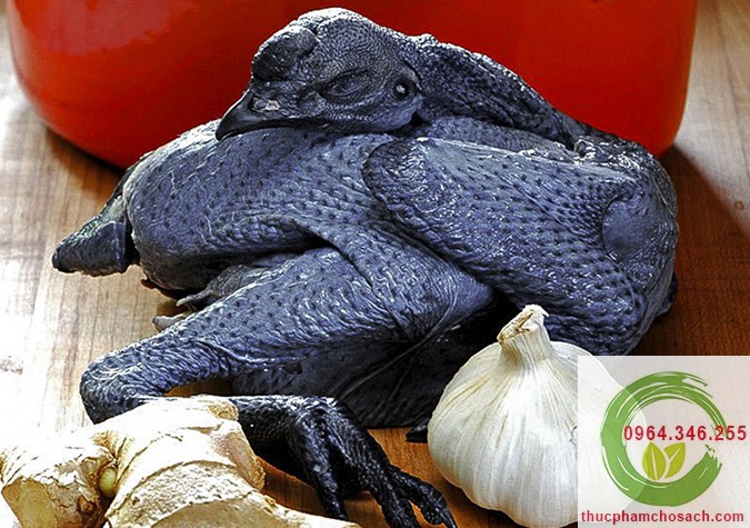 Chuẩn bị nguyên liệu chế biến