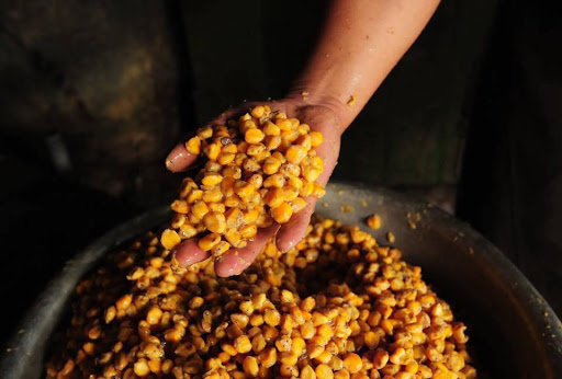 rượu ngô Na Hang