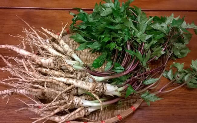 Cửa hàng bán sâm đương quy giá tốt