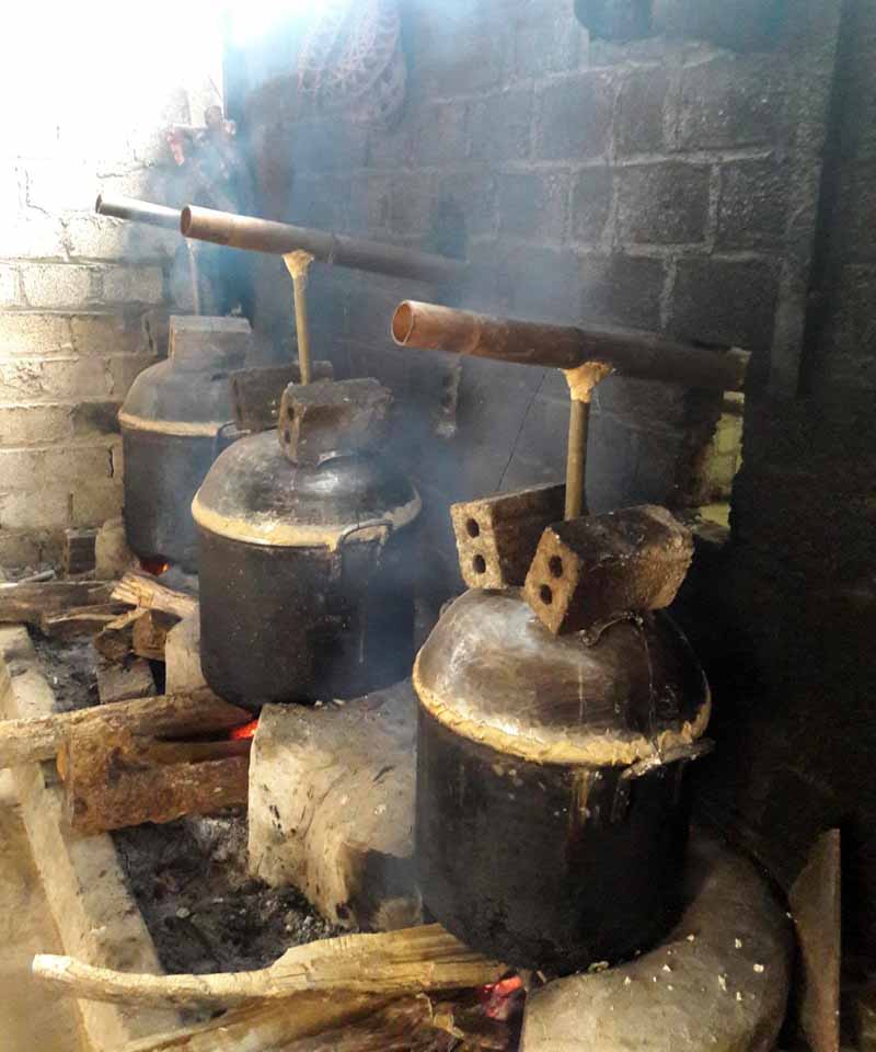 Quy trình nấu và ngâm rượu Hồng Đào của người Quảng Nam