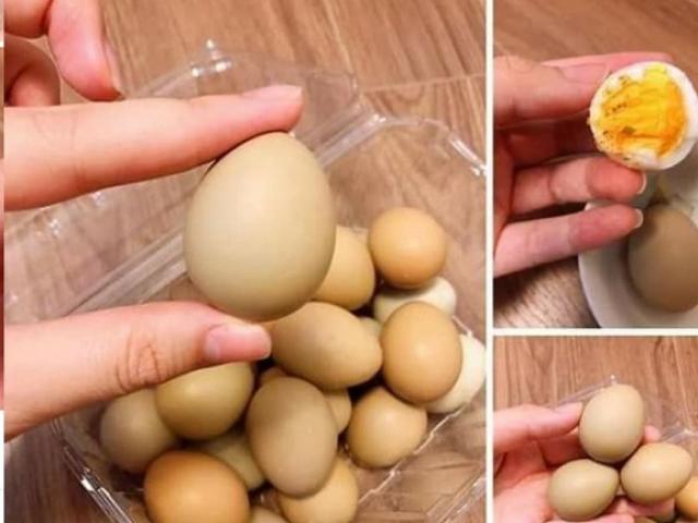 Một số phương thuốc sử dụng trứng chim trĩ