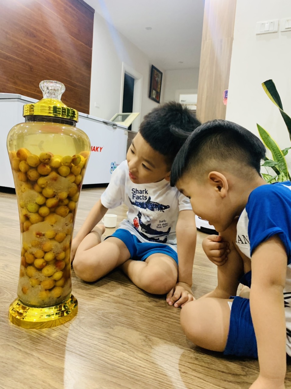 Tác dụng của rượu mơ : Khi đem mơ ngâm với rượu