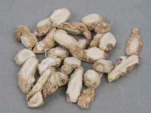 củ địa liền củ địa liền