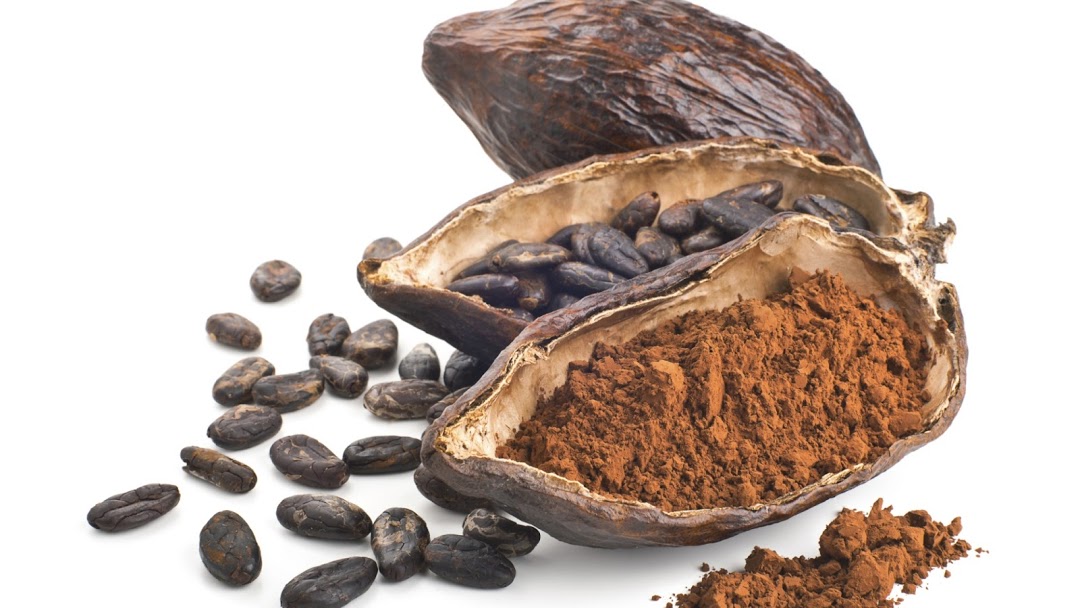 Mua bột cacao nguyên chất ở đâu?