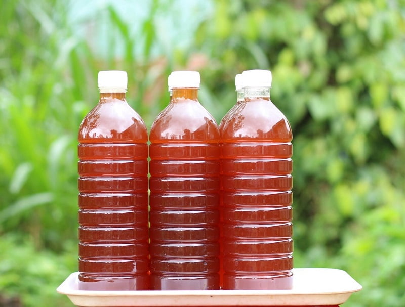 Cách dùng mật ong hoa táo mèo hiệu quả