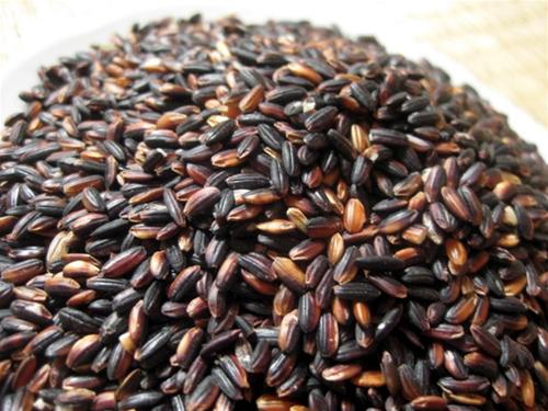 Lựa chọn nếp cẩm