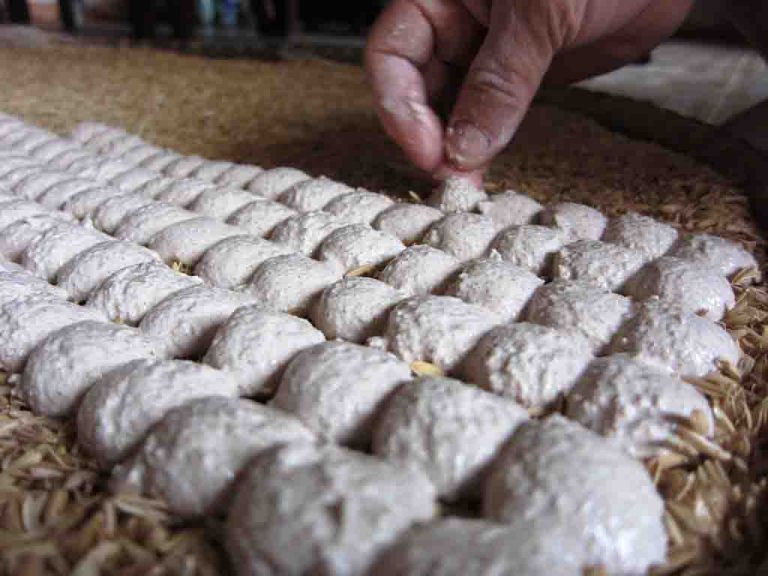 Lựa chọn men rượu