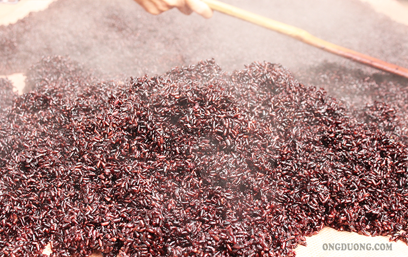 Cơm nếp cẩm cần chín đều, xuê và không bị vón cục.