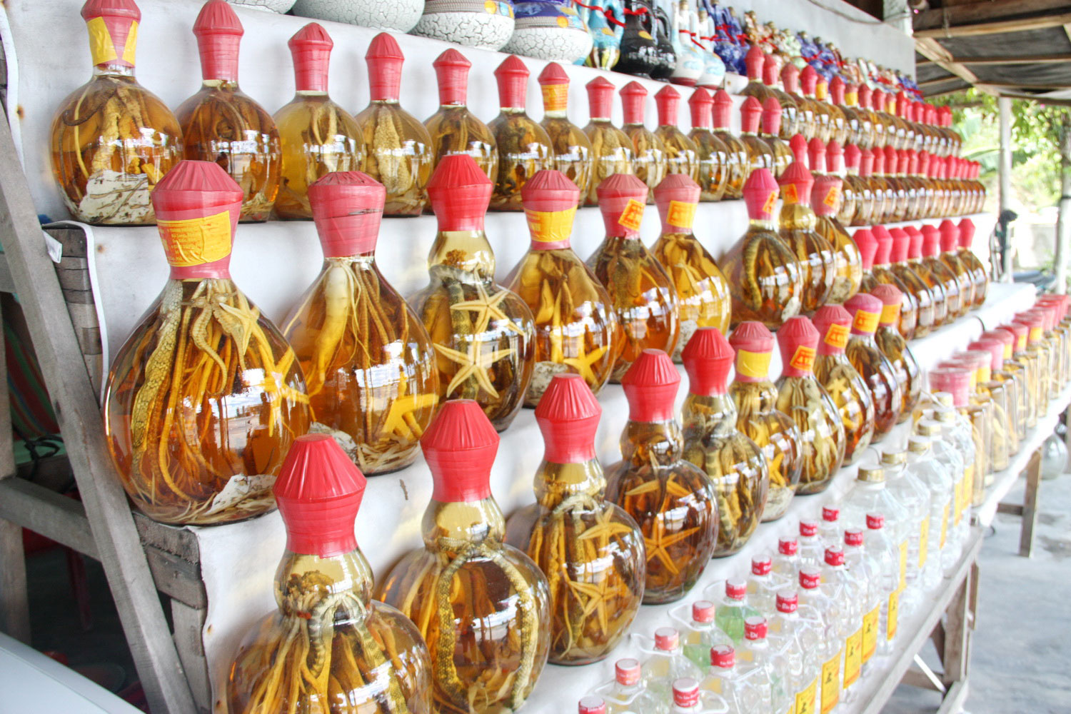 triển lãm rượu cá ngựa