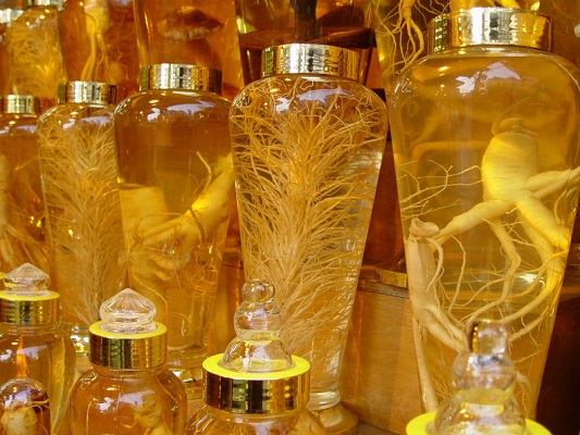 ngâm rượu nhân sâm