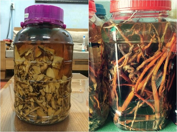 rượu sâm cau khô