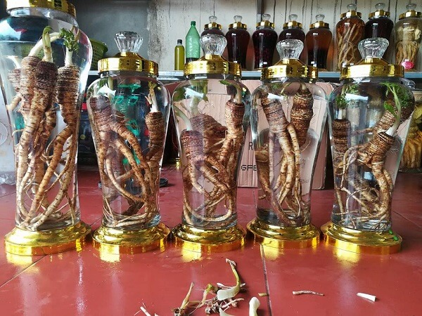 rượu sâm đá rượu sâm đá