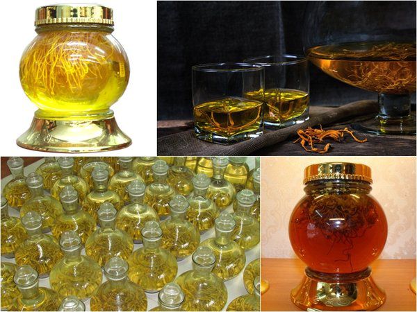 Cách ngâm rượu đông trùng hạ thảo nguyên con
