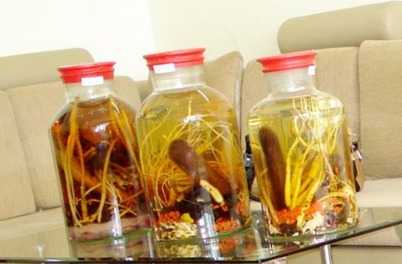 Cách ngâm rượu đông trùng hạ thảo nguyên con