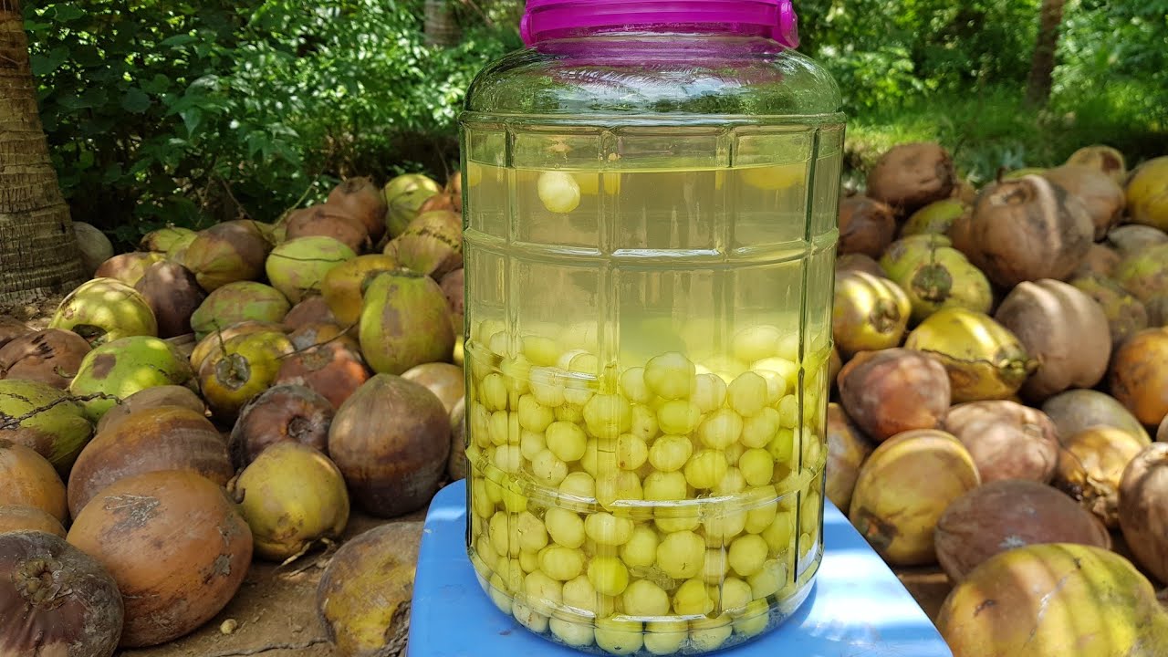 Rượu chùm ruột có tác dụng gì?