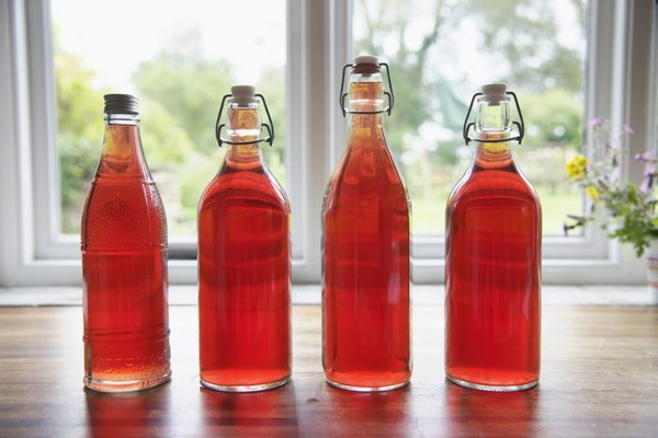 Rượu dâu tây – giúp tăng cường hệ miễn dịch