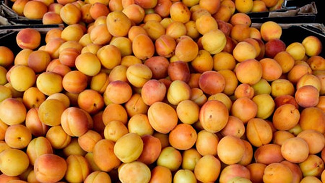 tác dụng của quả mơ