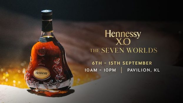giới thiệu về rượu Hennessy XO